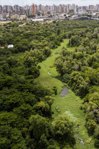 Parque Ecológico do Rio Cocó